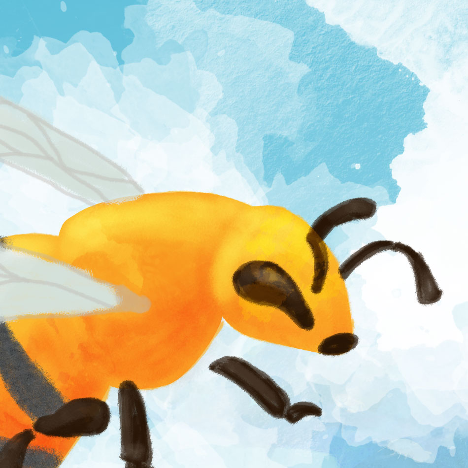 Abeilles illustration guadeloupe